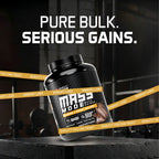 Mass Mode Mass Gainer