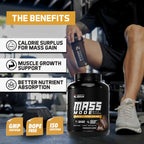 Mass Mode Mass Gainer