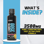 L carnitine 3500